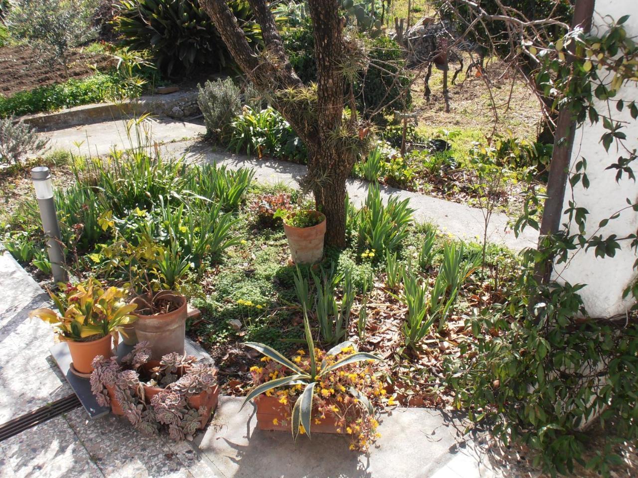 Casa Fortuna Holiday home
